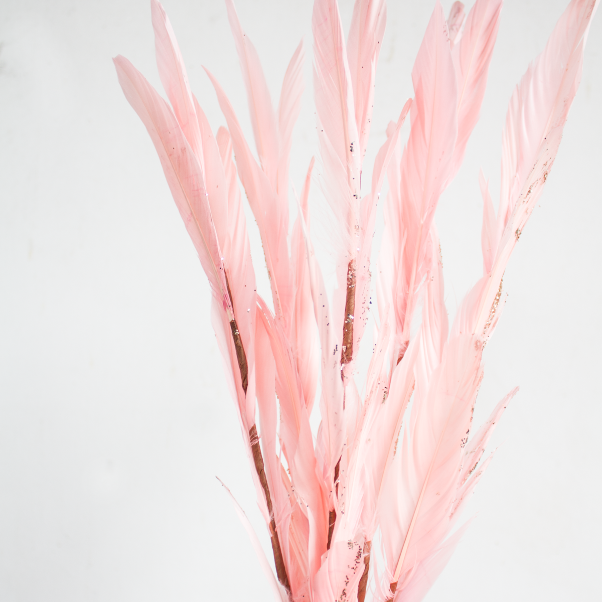 Feather Spray