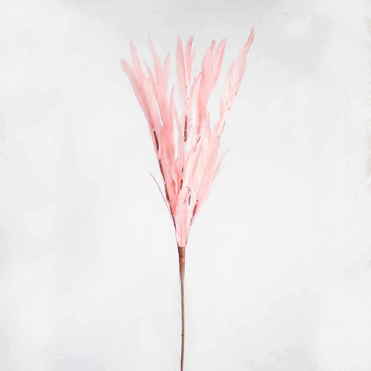 Feather Spray