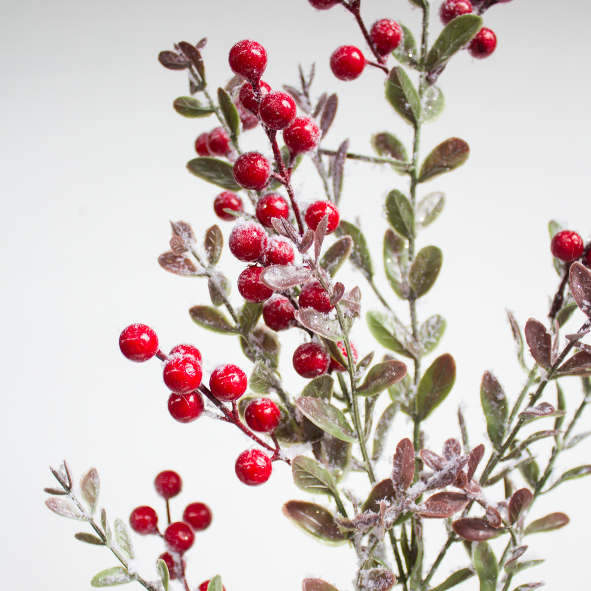 Pine Berry Spray