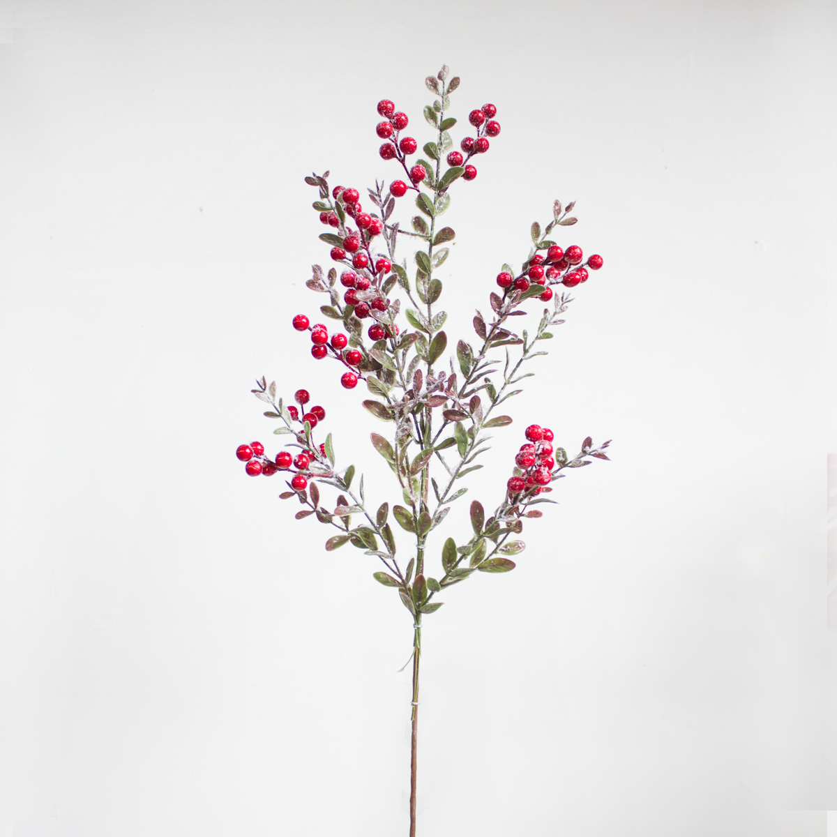 Pine Berry Spray
