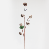 Pinecone