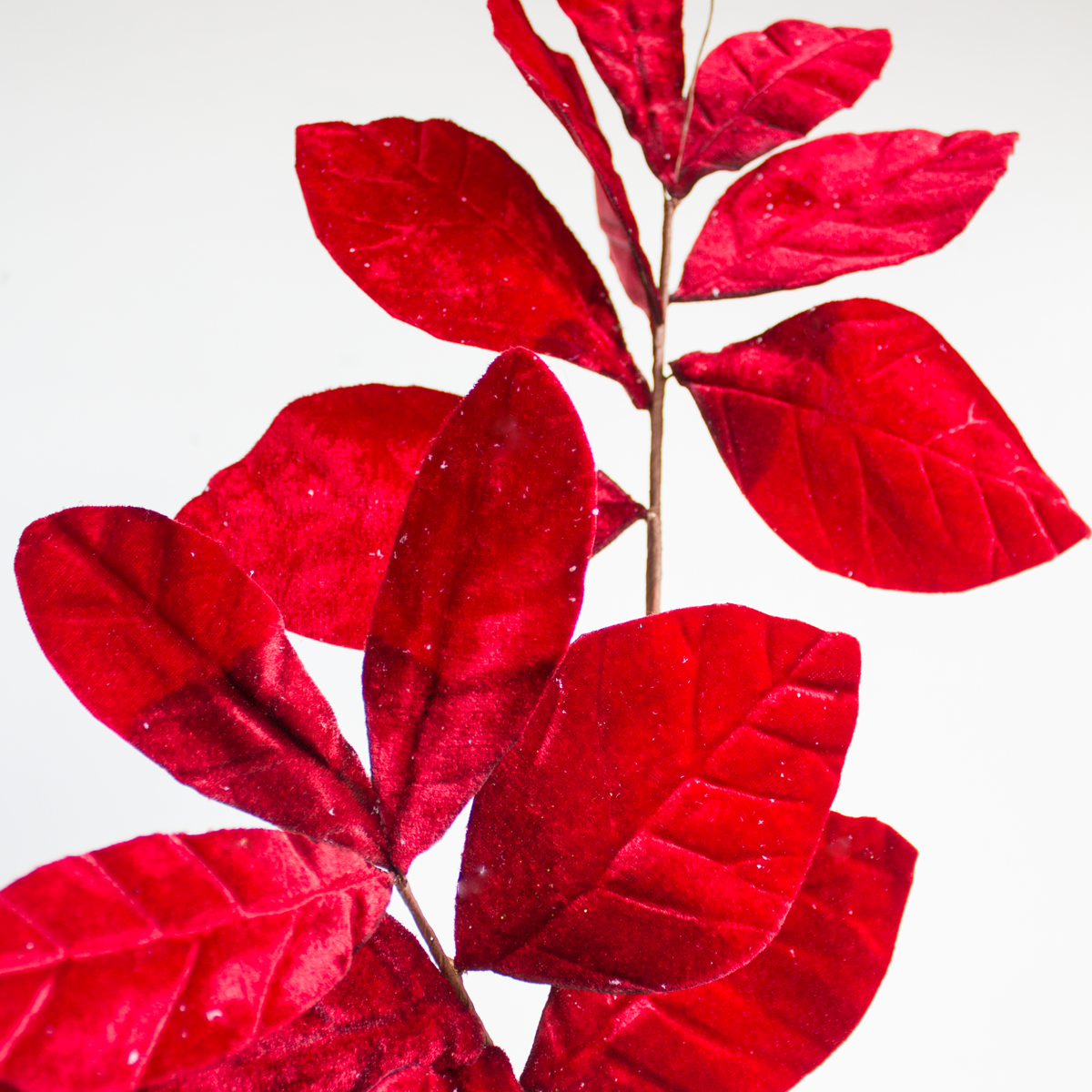 Magnolia Leaves Spray