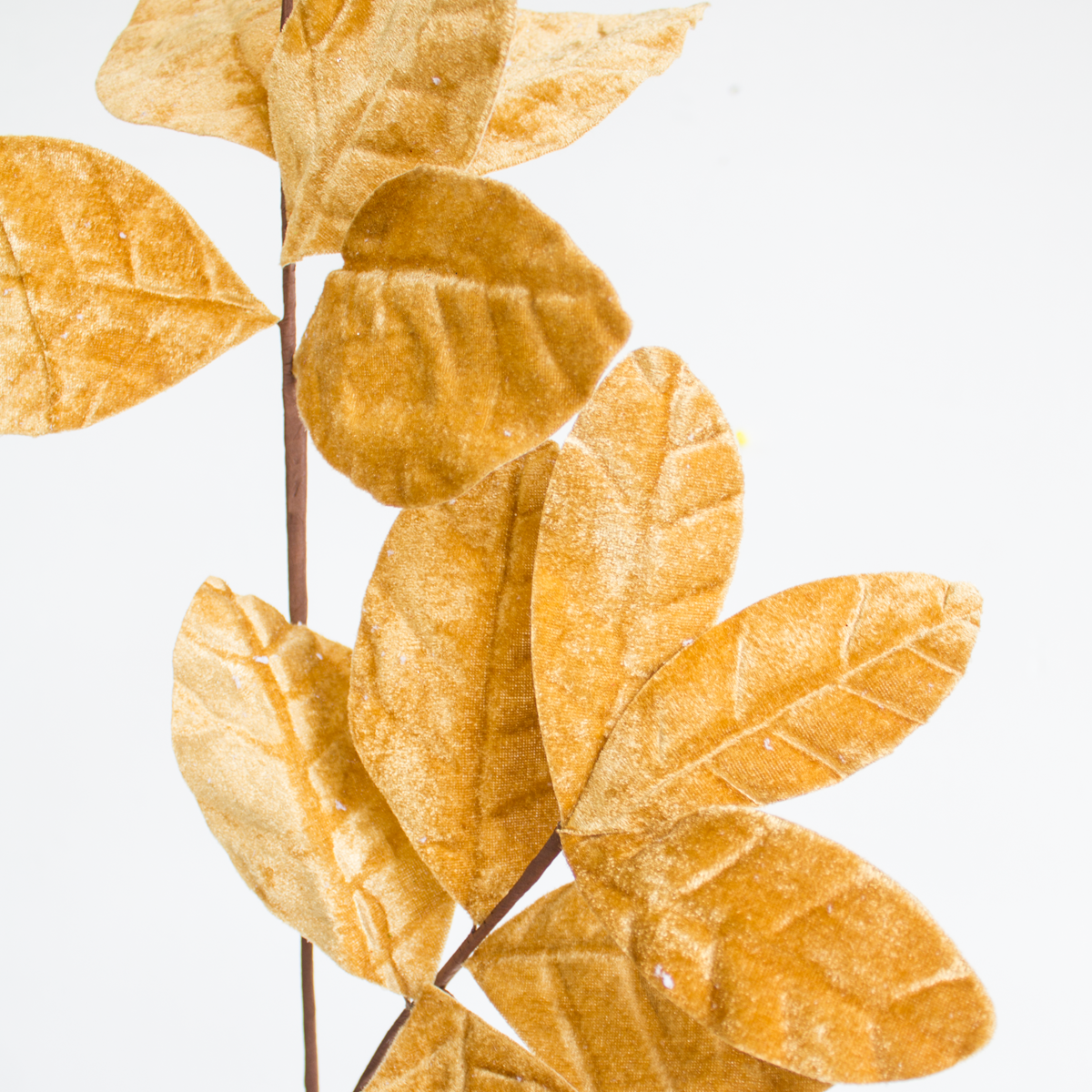 Magnolia Leaves Spray