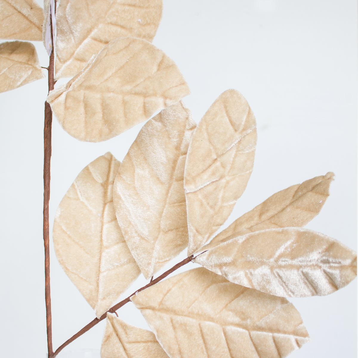 Magnolia Leaves Spray