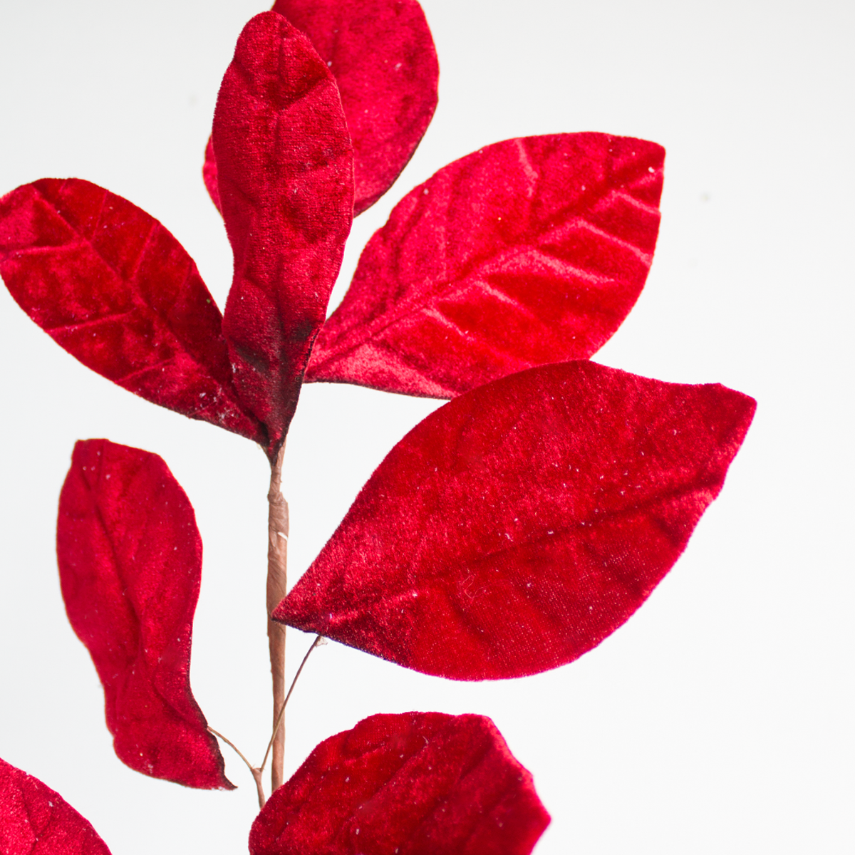Velvet Petal Spray