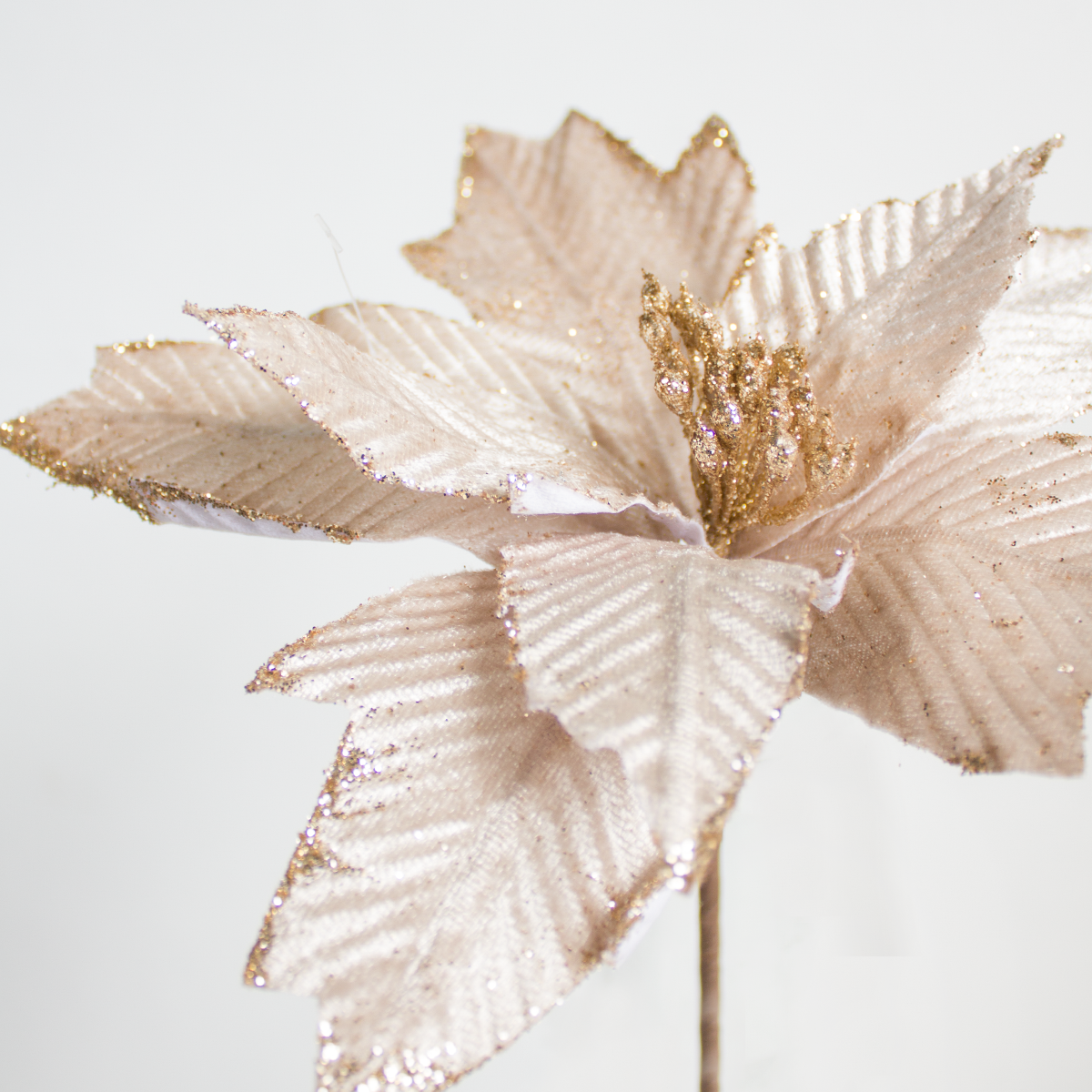 Poinsettia - 27x15cm
