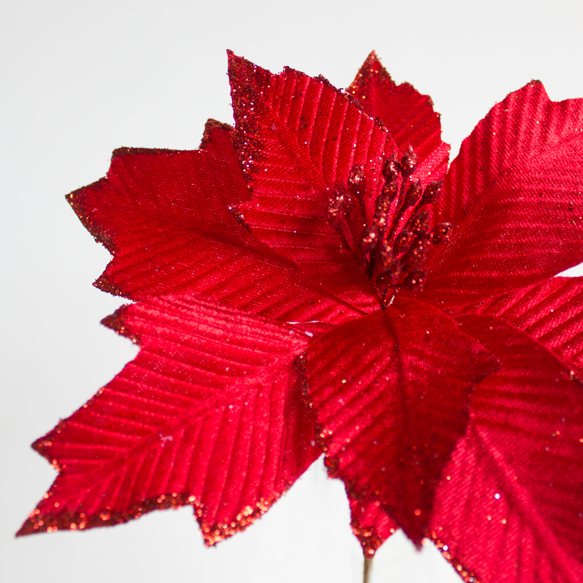 Poinsettia - 27x15cm