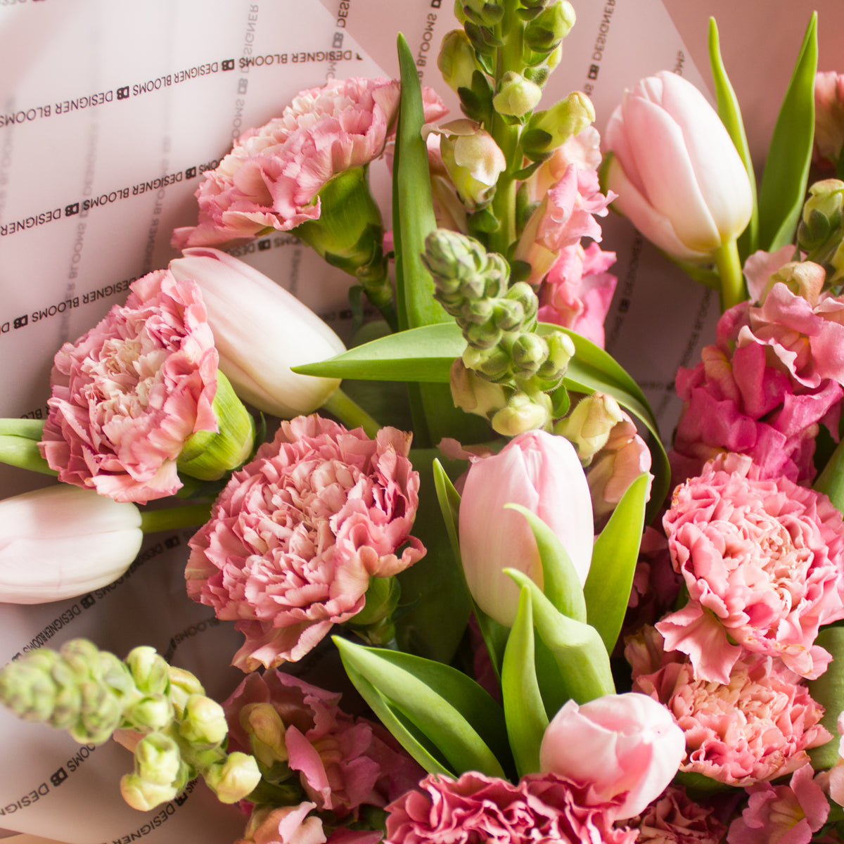 Tulips and Carnations - Pink